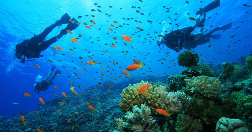 Scuba divers among coral reefs and tropical fish in Malaysia