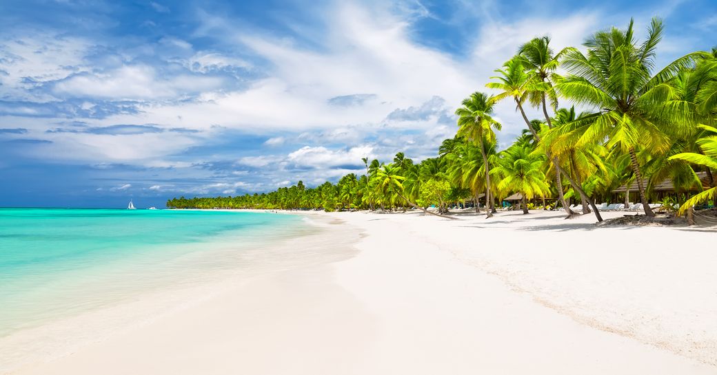 White sand beach and bright blue sea of Caribbean island