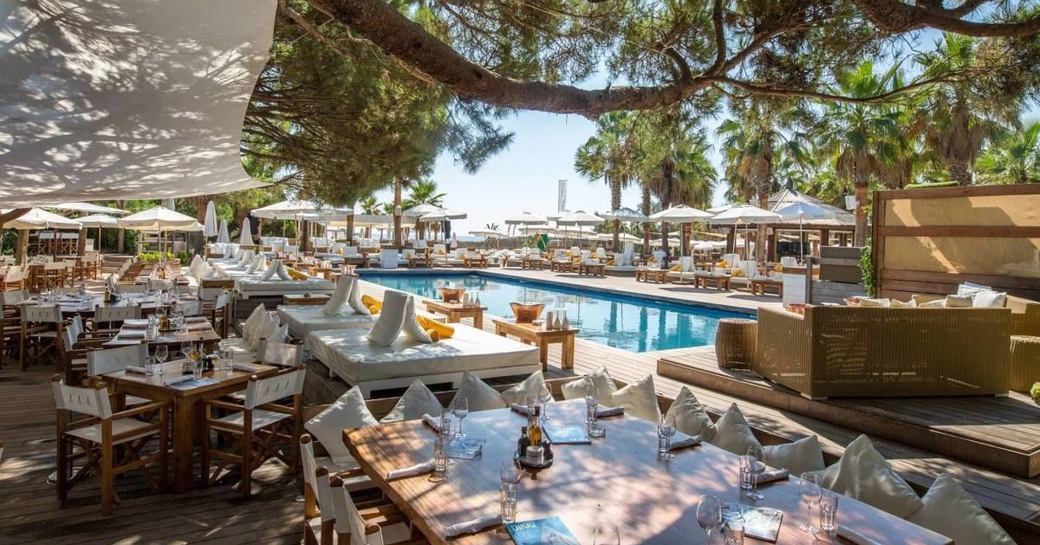 nikki beach club in st tropez, with mediterranean pines overhanging and pool in centre of tables and sun loungers