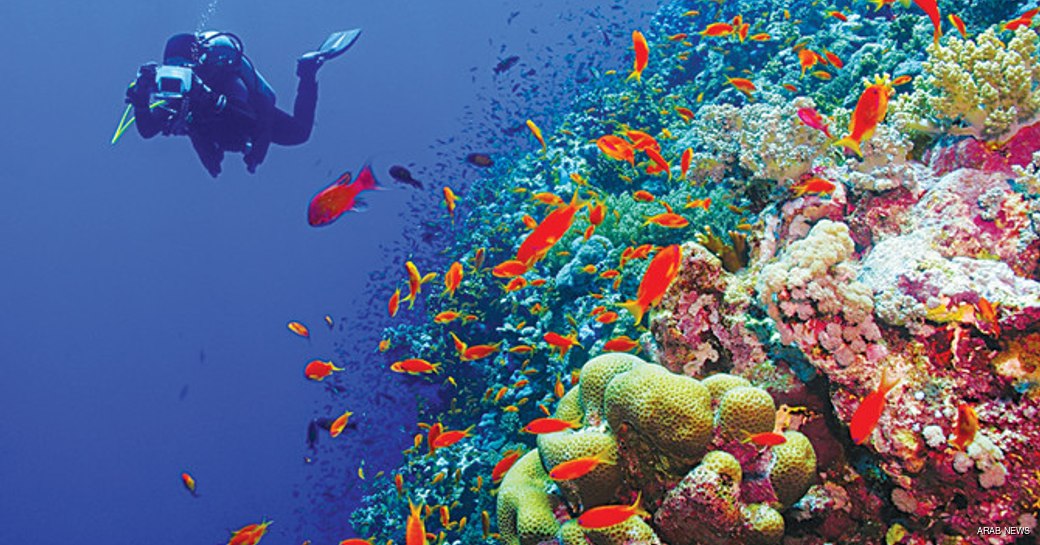 A diver passing by colourful coral reef formation with abundant fish.