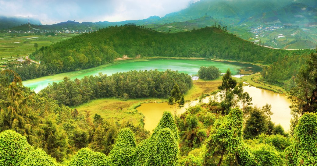 Green forested landscape in Indonesia