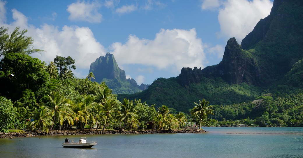 Boat in Cooks Bay with Moua Puta mountain in the background in a green jungle landscape on the tropical island of Moorea,