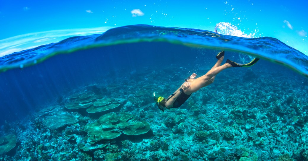 Seychelles diving into sea