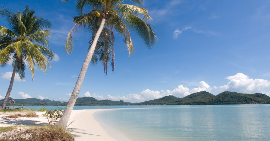 Palm trees on sandy beach in Thailand