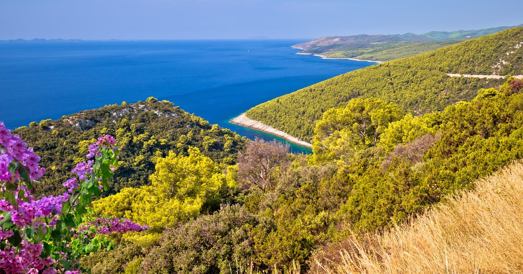 Korcula island coastline. Pupnatska Luka cove view from the hill, southern Dalmatia archipelago of Croatia
