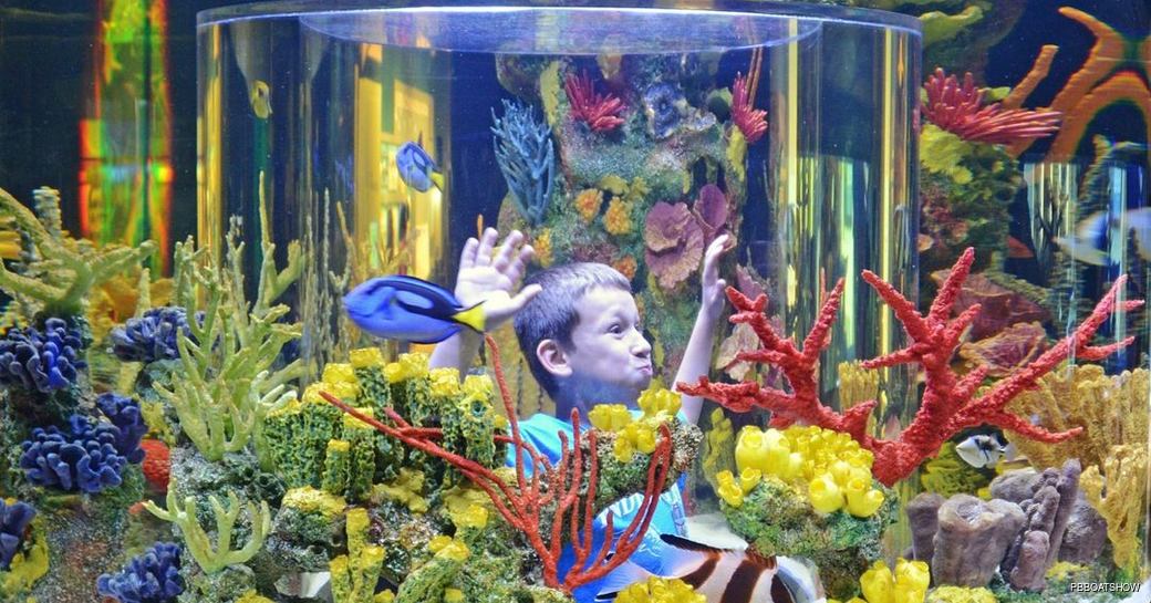 boy looking at the aquarium at the palm beach boat show