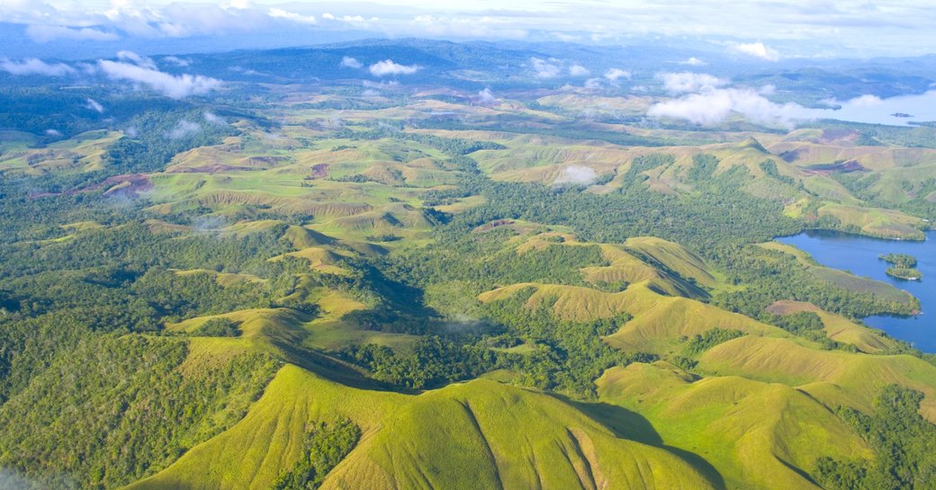 Aerial photo of the coast of New Guinea with jungles and deforestation