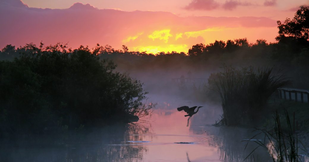 Everglades National Park at sunset, Florida