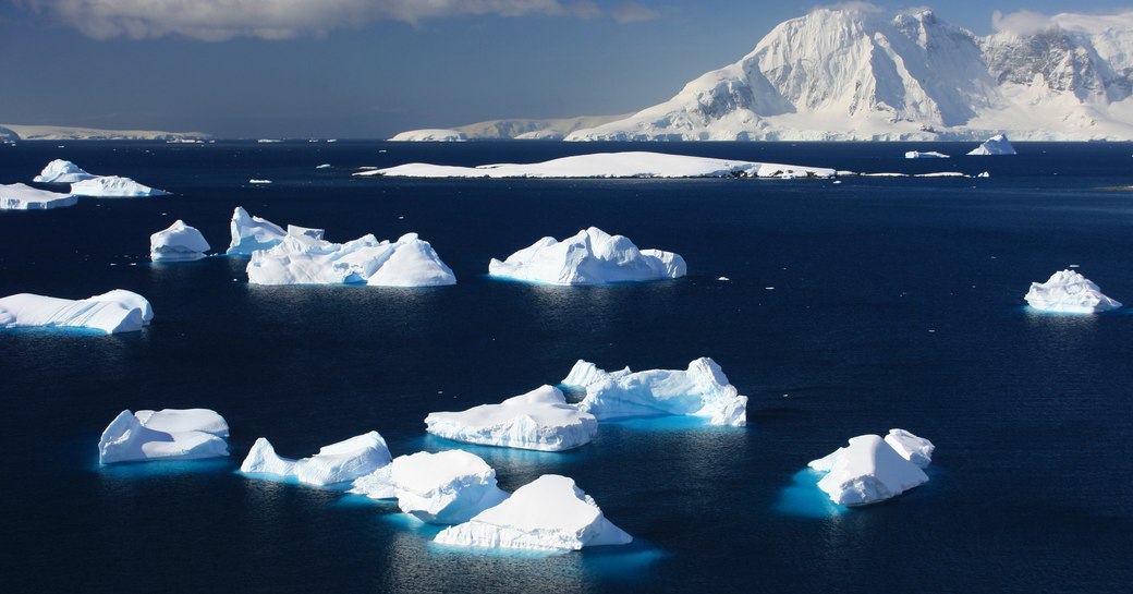 ice bergs in the ocean in antarctica