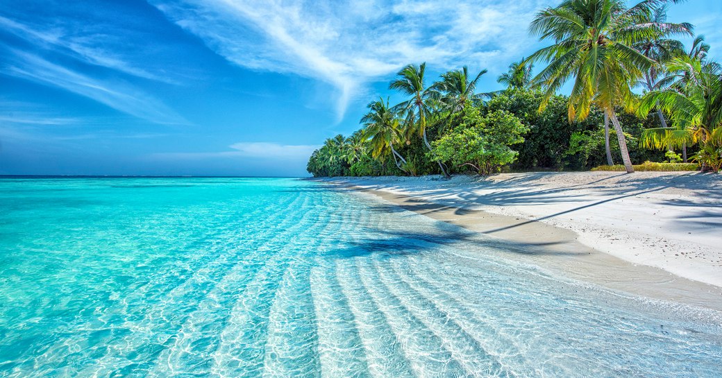 Caribbean beach with turquoise waters, blue skies and green swooping palm trees