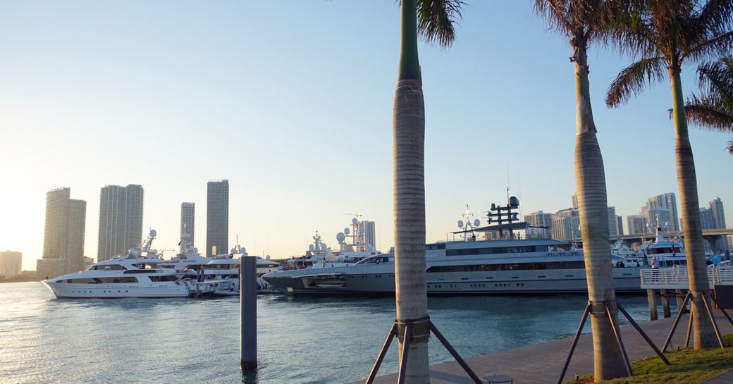 The Miami skyline and a collection of superyachts