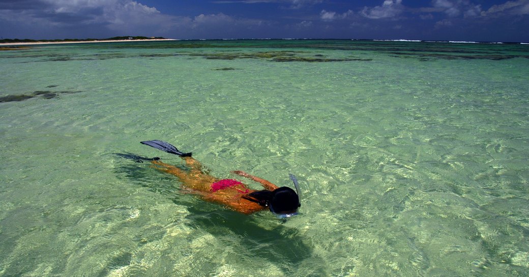 charterer snorkels in the crystal clear waters of Anegada in the British Virgin Islands