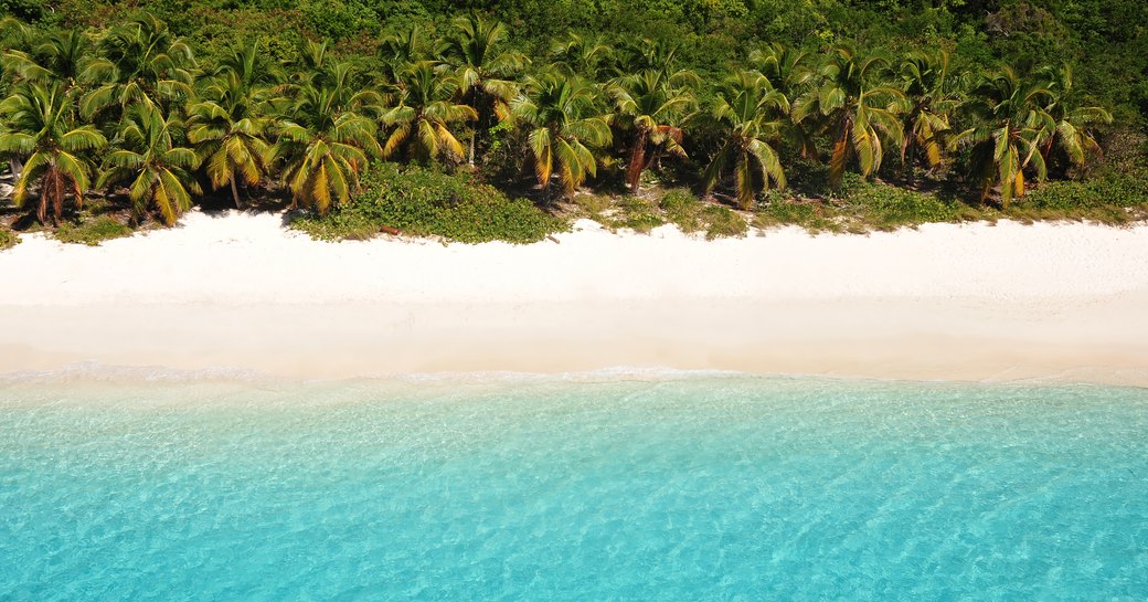 secluded sandy beach backed by palm trees in the British Virgin Islands