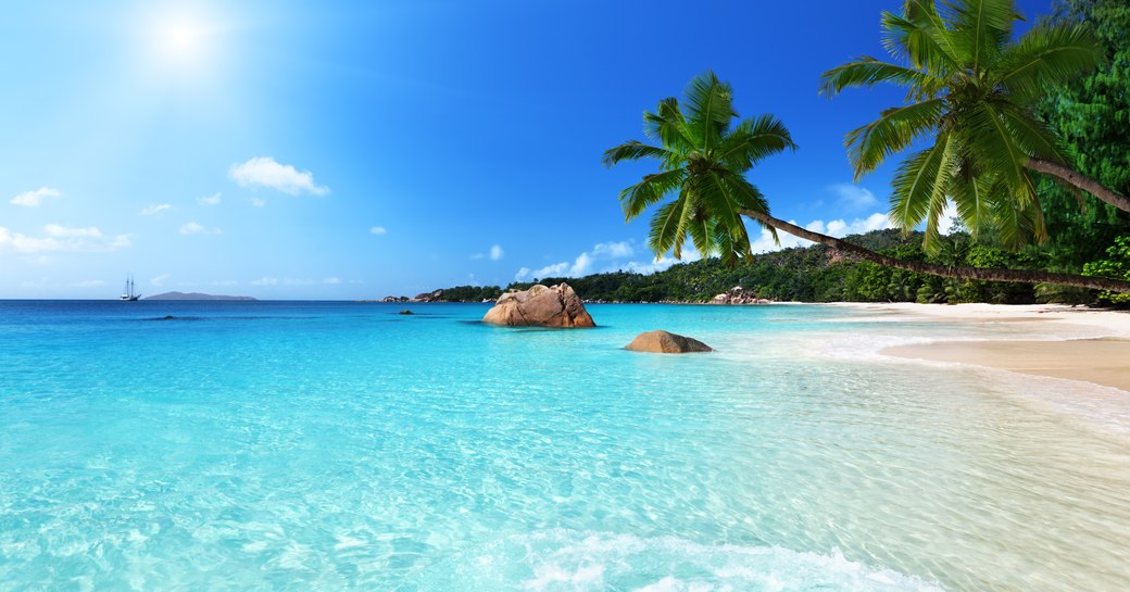 Island beach setting with blue waters, blue sky and green palm trees hanging over the waves