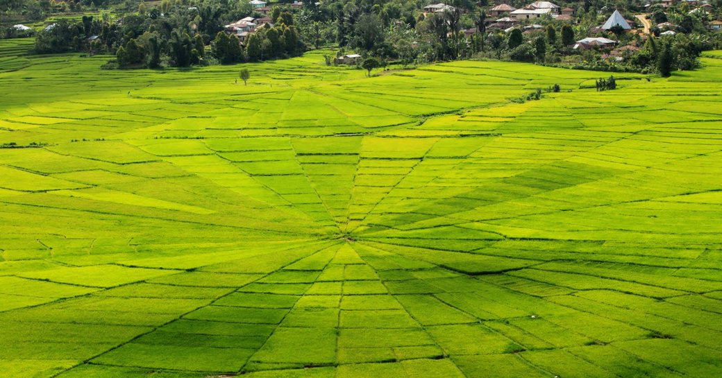 farmlands of the Manggarai tribe in western Flores, Indonesia