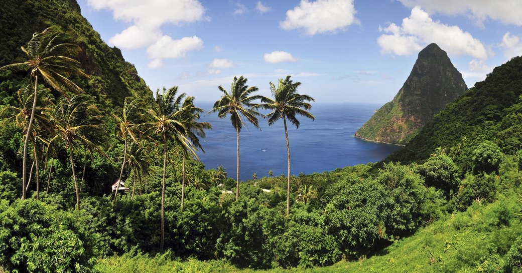 verdant hills, dramatic peaks and palm trees in a landscape shot of St Lucia