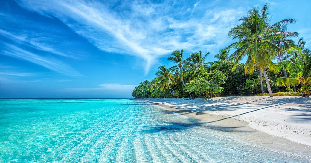 light blue waters and swooping green palm trees in the Caribbean