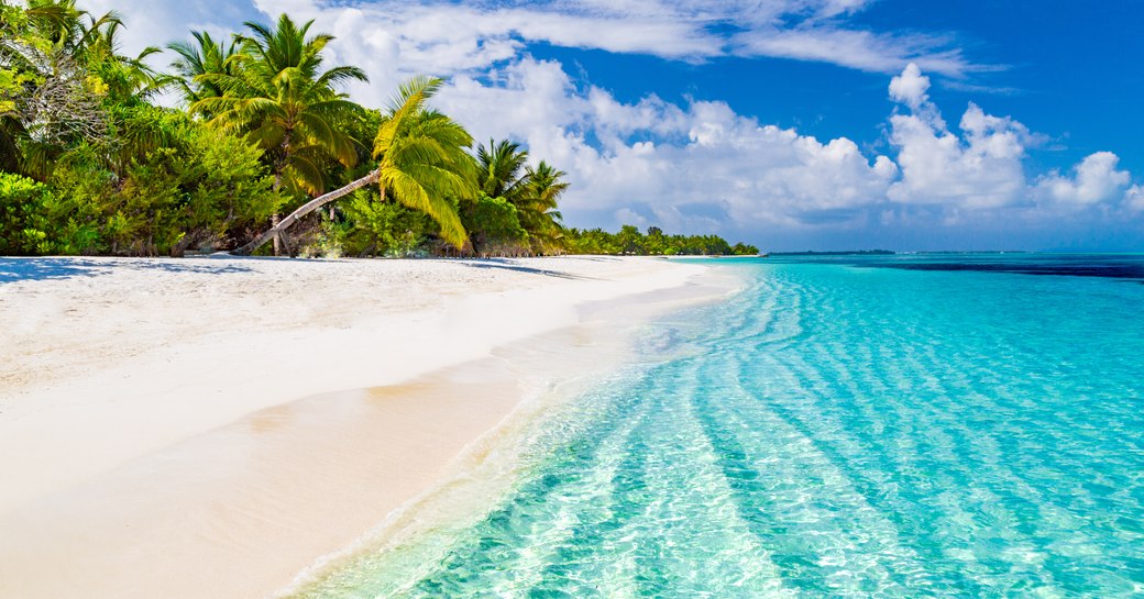 Beautiful blue water, white sands and palm trees in the Bahamas