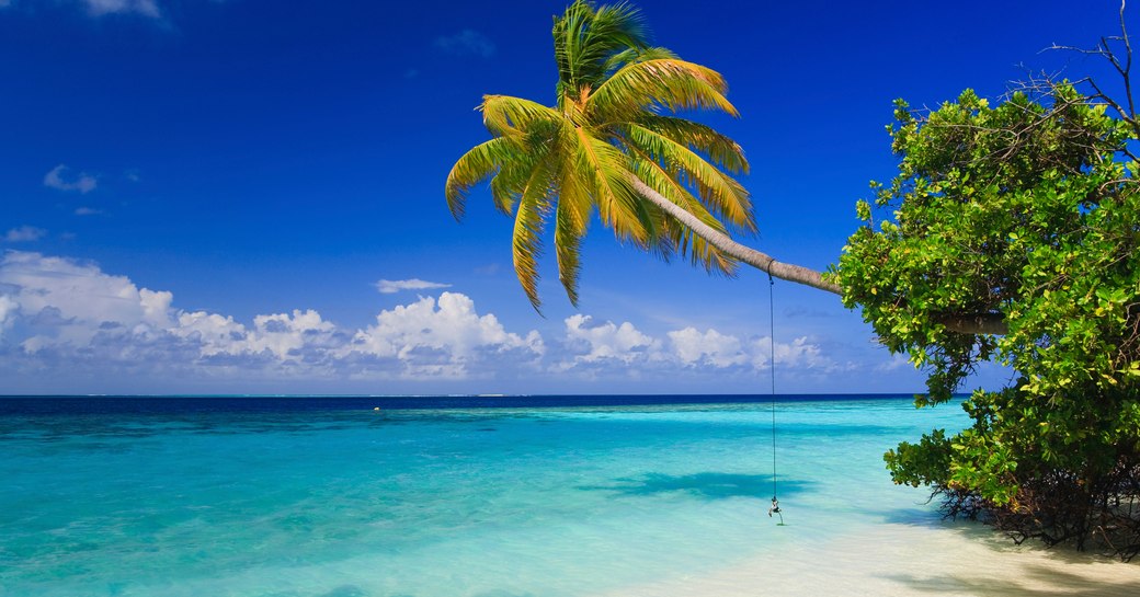 Tropical Paradise at Maldives with palms and blue sky