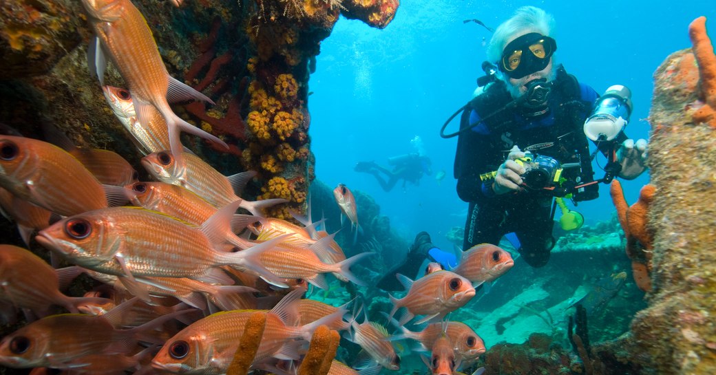 A man in scuba gear near a reef with orange tropical fish