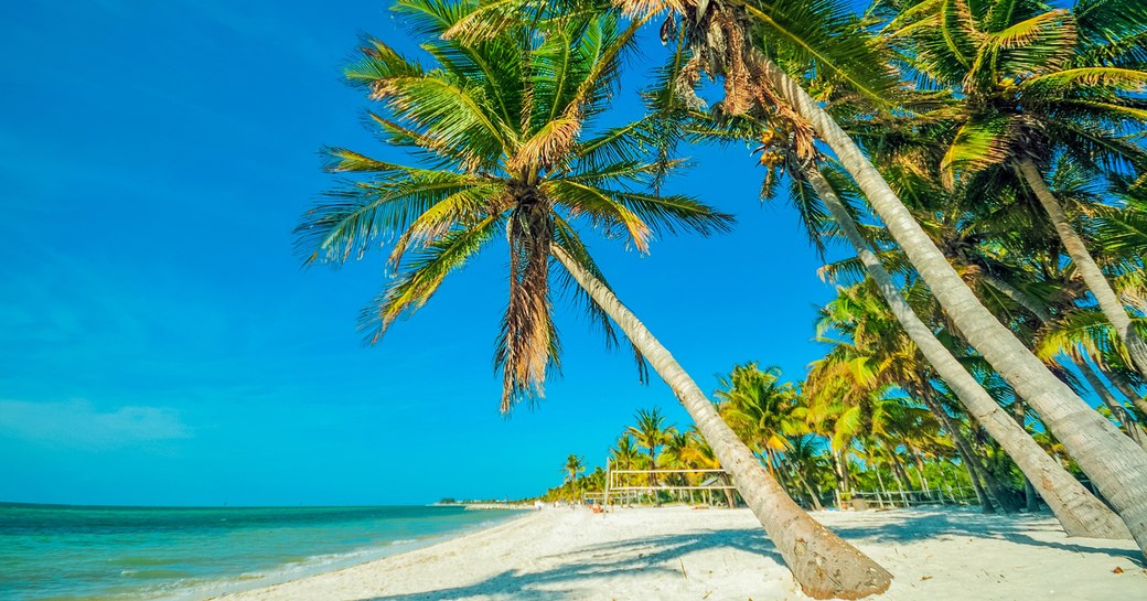 beach in the florida keys