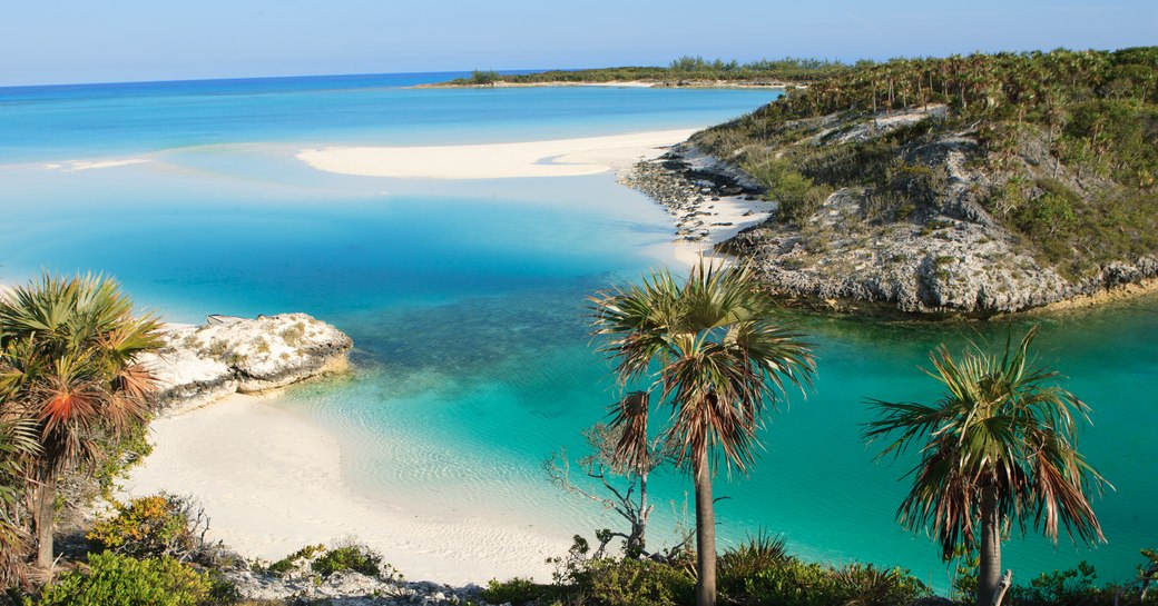 Tropical landscape of palm trees and white sandy beaches in the Bahamas