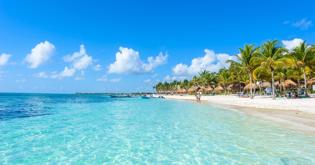 Clear water, lapping up to sandy beach with palm trees