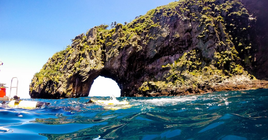 Scuba diving, Poor Knights Islands Marine Reserve, while on a luxury yacht charter in New Zealand