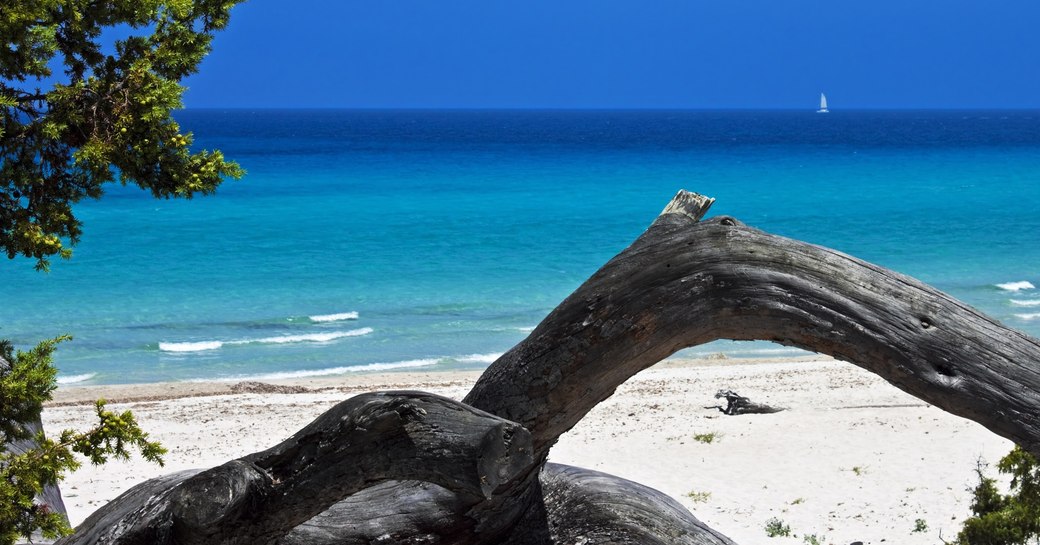 white sand beach along the Desert des Agriates in Corsica