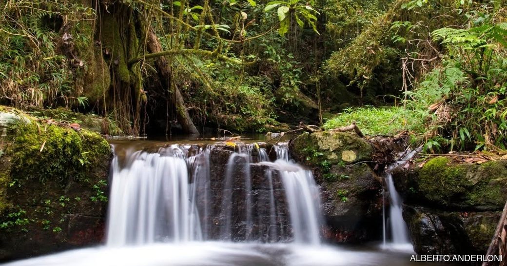 Ranomafana National Park Madagascar waterfall