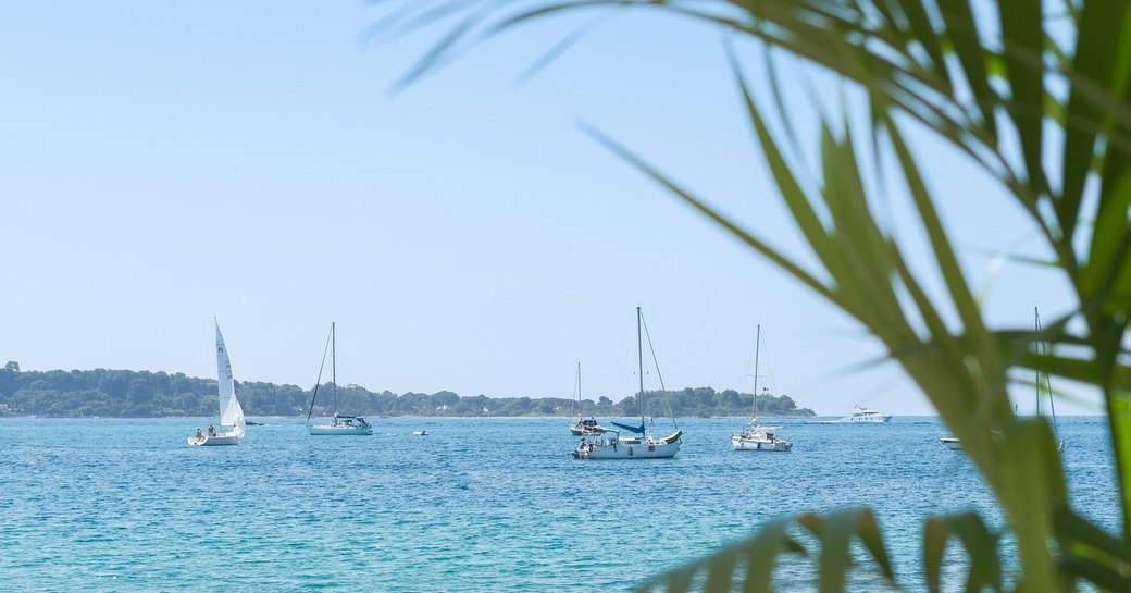 yachts at L'Ecrin Plage, Cannes