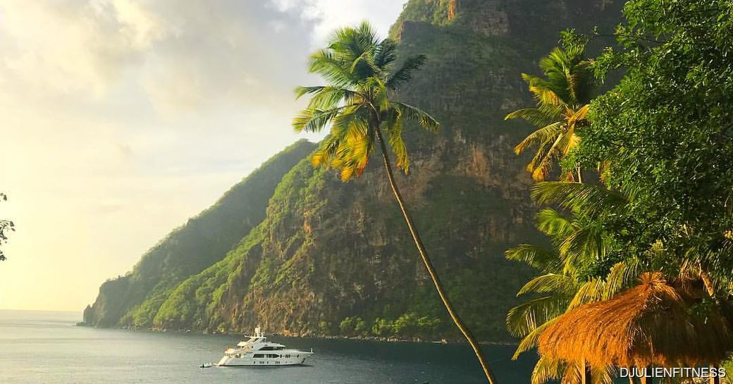 Gros Piton St Lucia, trees, water
