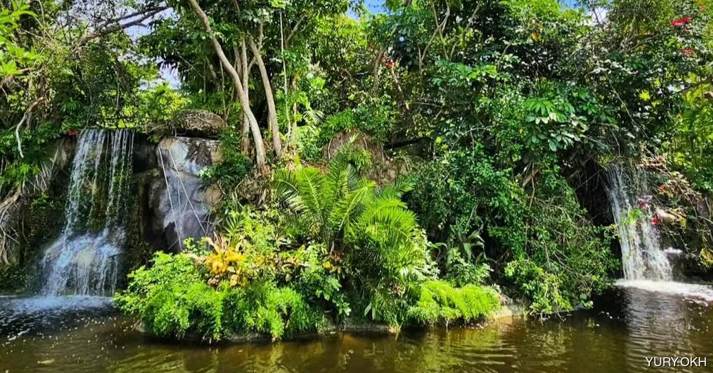 Garden of the Groves Bahamas waterfalls
