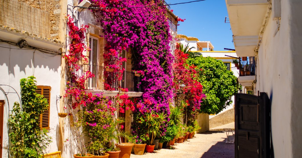 Flowers in Ibiza old town