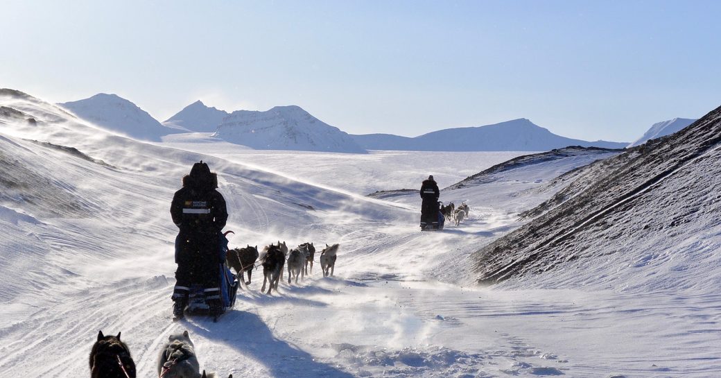 Charter guests enjoy dog sledding in Svalbard
