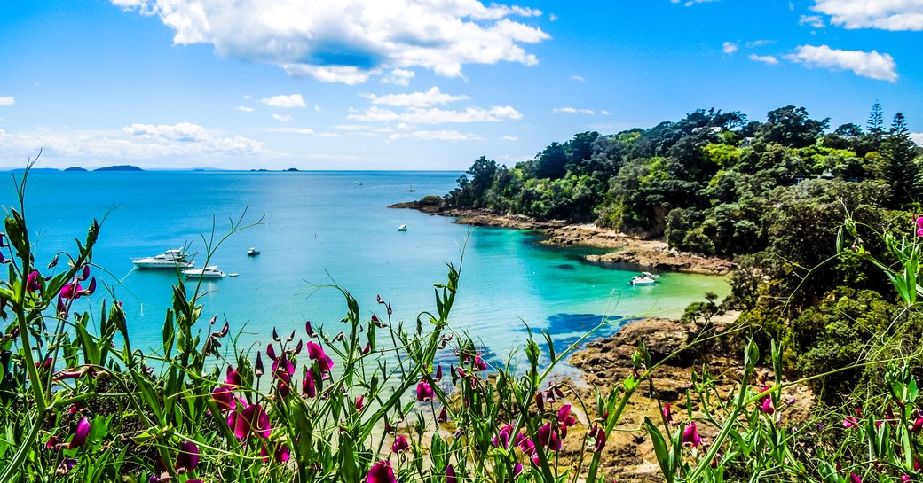 Hekerua Bay on Waiheke Island in New Zealand with sail boats on the water below and pretty purple flowers in the foreground