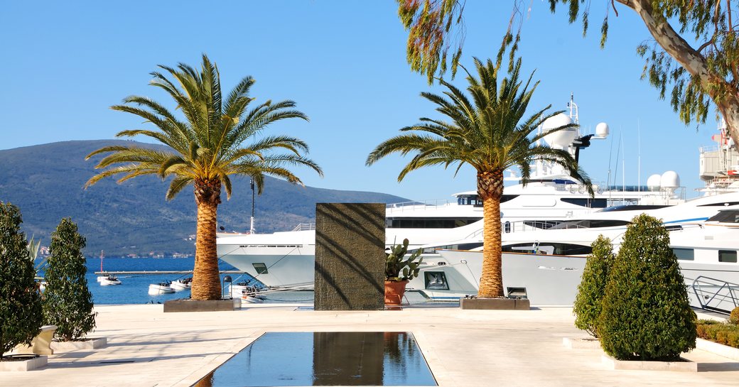 Porto Montenegro with superyacht and palm trees