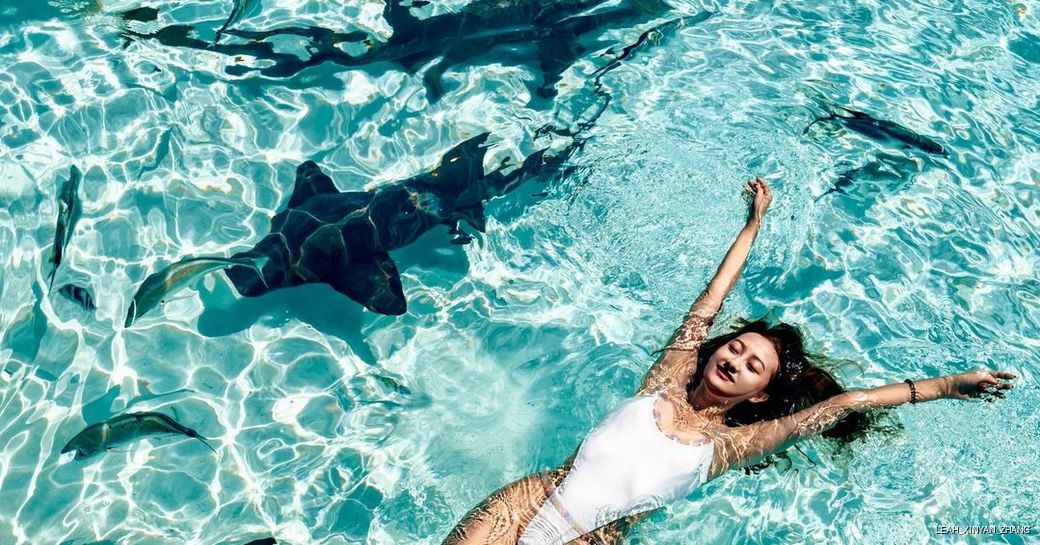 woman swimming with nurse sharks at compass cay bahamas