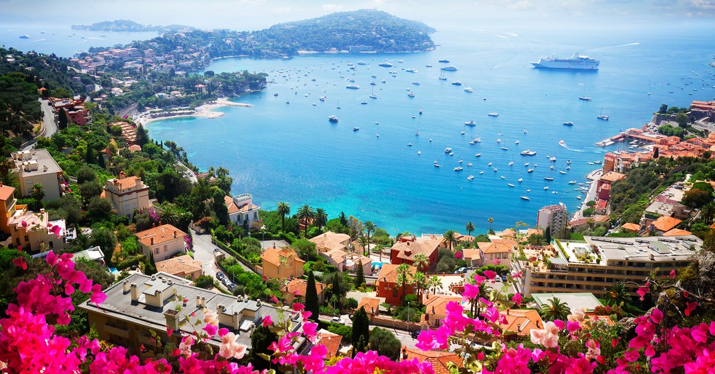 bougainvillea flowers frame French Riviera