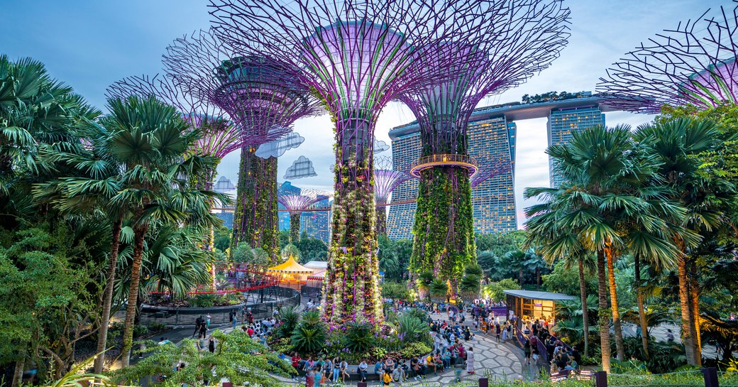 Trees in Singapore bay 