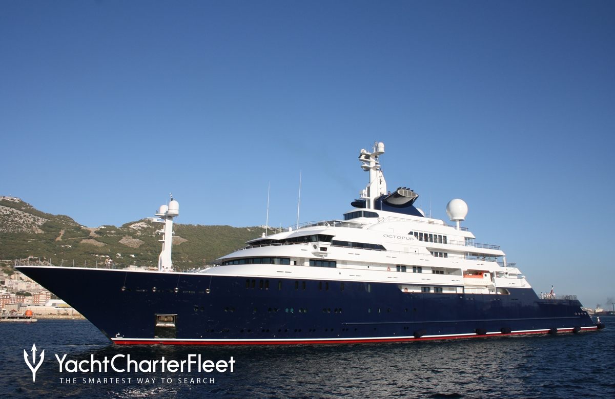 octopus yacht charter price