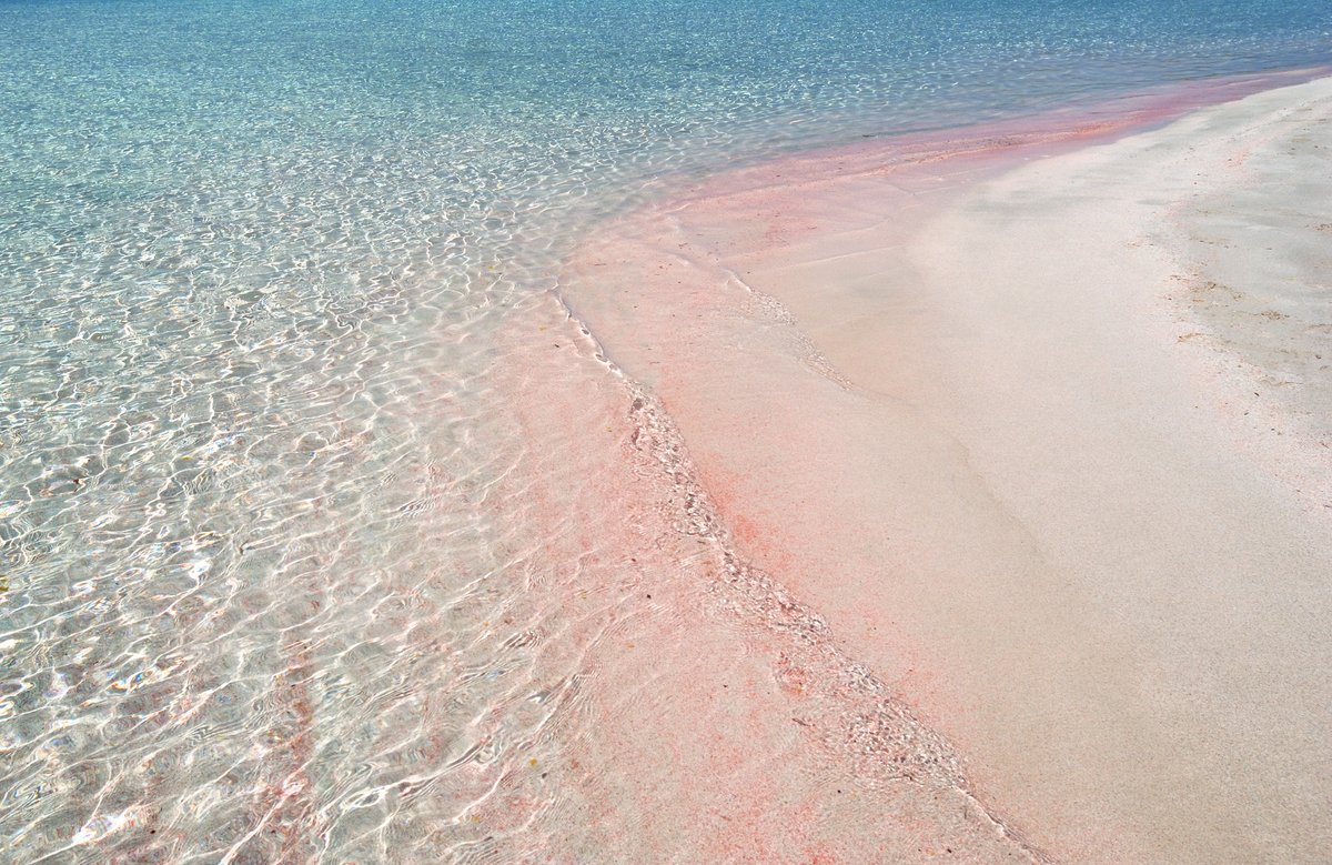 Pink Sand Beach, Eleuthera | YachtCharterFleet