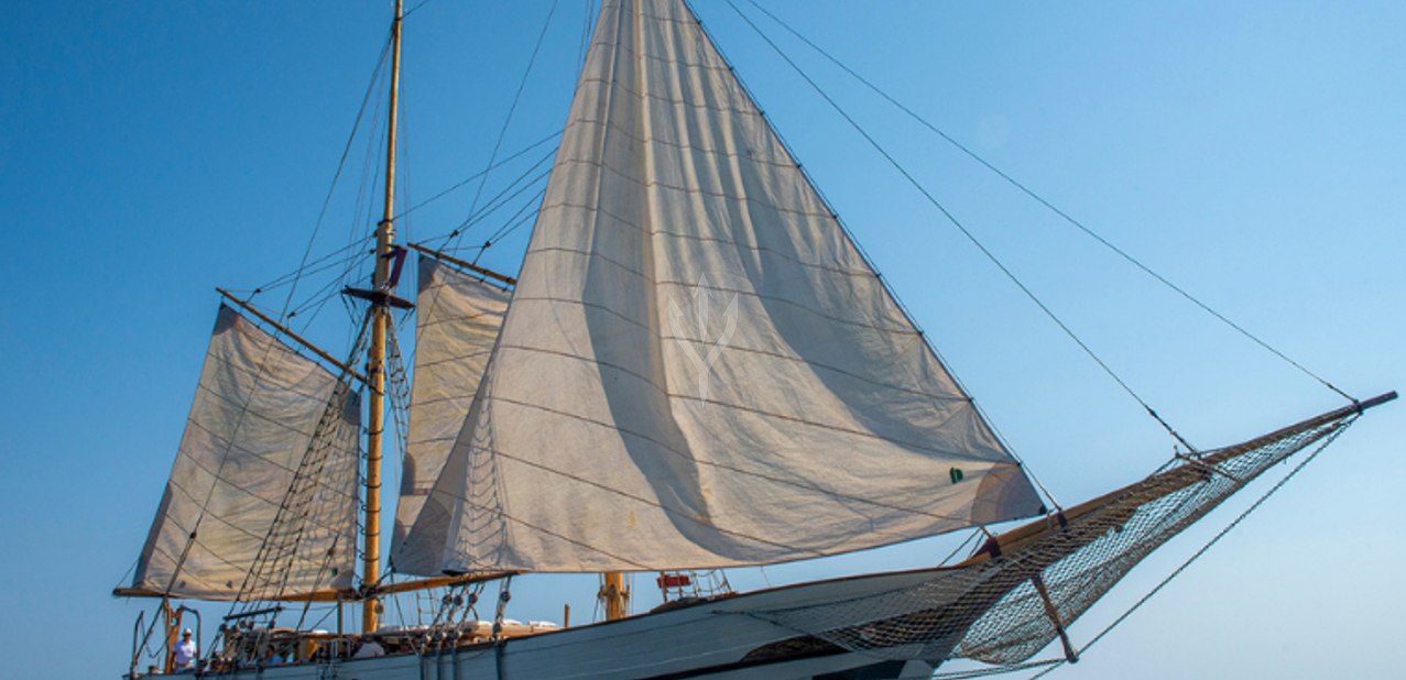 O'Remington Charter Yacht