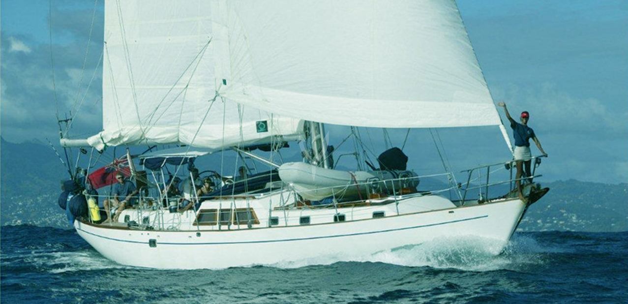 The Dove Charter Yacht