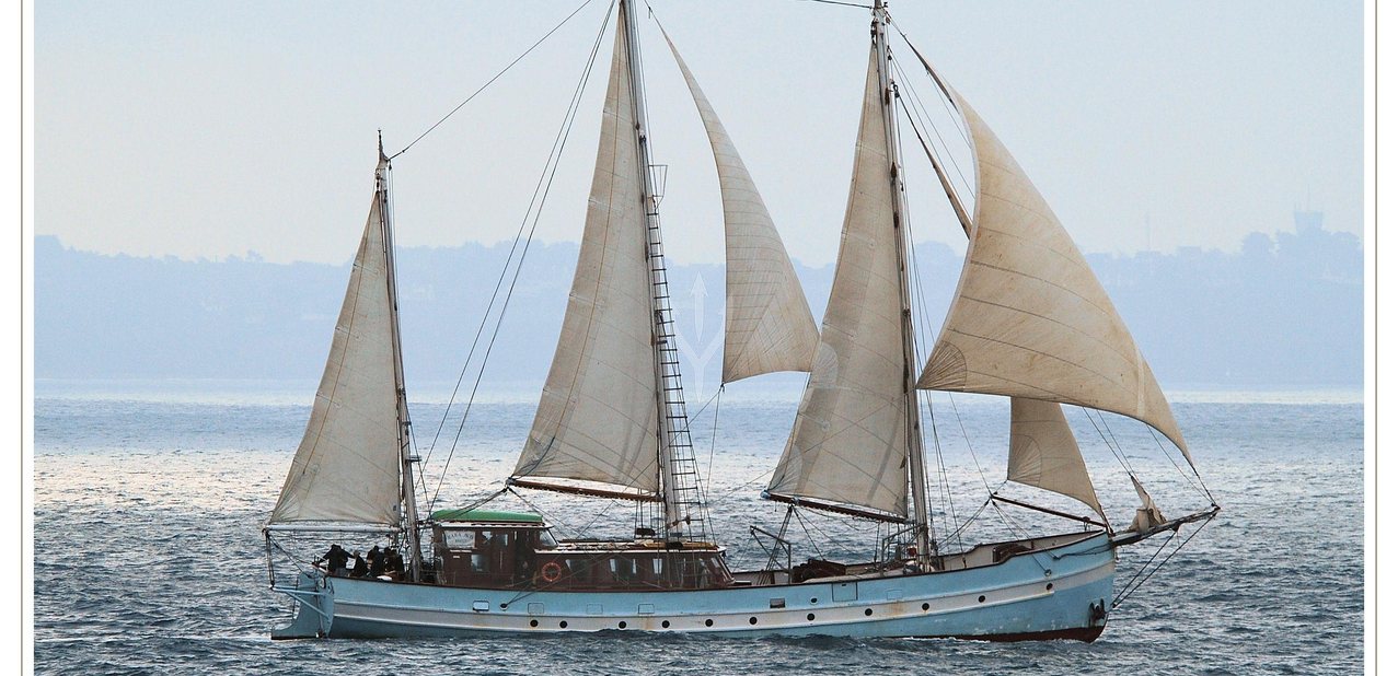 Rara Avis Charter Yacht
