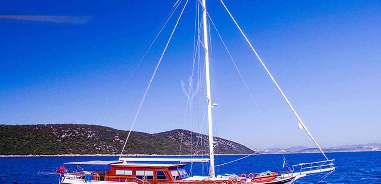 Freedom Charter Yacht
