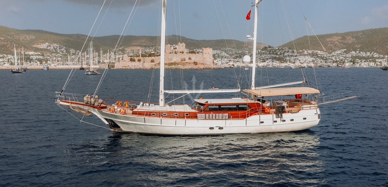 Schatz Charter Yacht