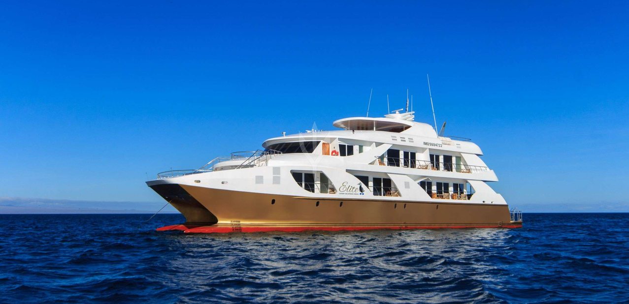 Elite Charter Yacht