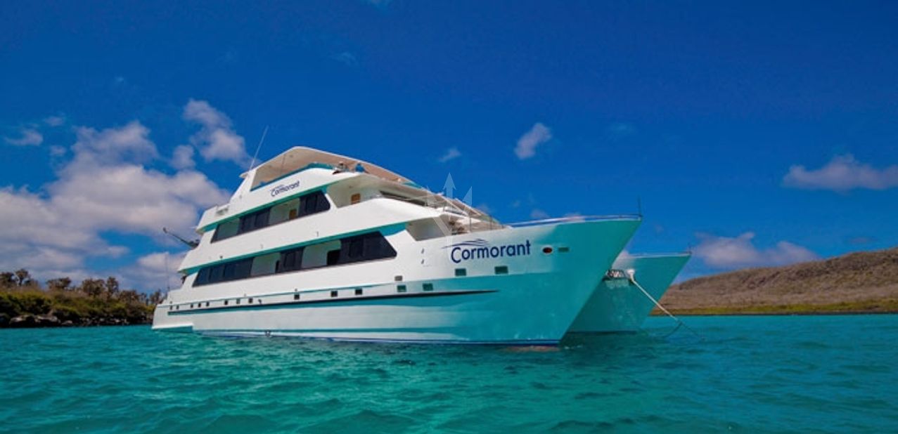 Cormorant Charter Yacht