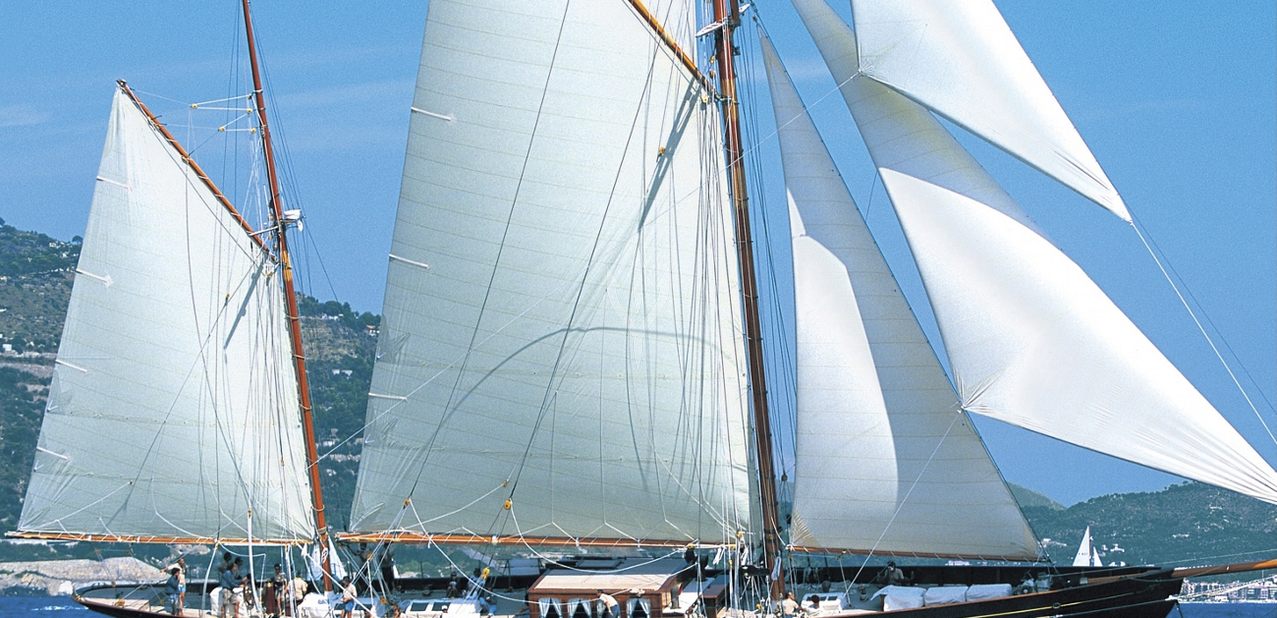 Black Swan Charter Yacht